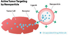 Nanoparticle Targeting Tumor