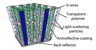 Silicon Nanowire 